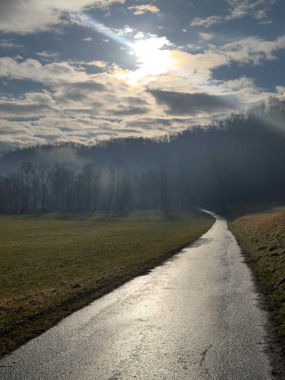 Idyllischer Spazierweg durch die Natur mit Sonnenstrahlen über den Wiesen und ruhiger Landschaft.